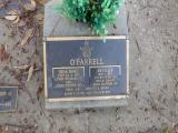 image of grave number 646812